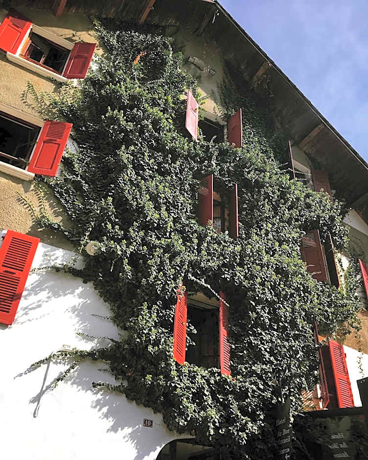 Hotel Au Bon Accueil