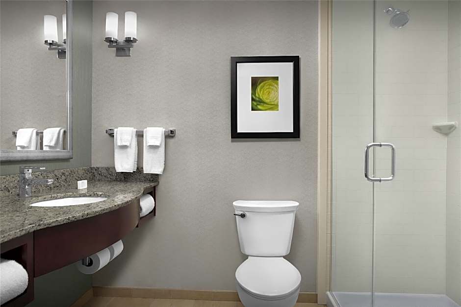 Photo 1 of 10 of 1 King Bed, Hearing/Mobility Accessible, Roll in Shower