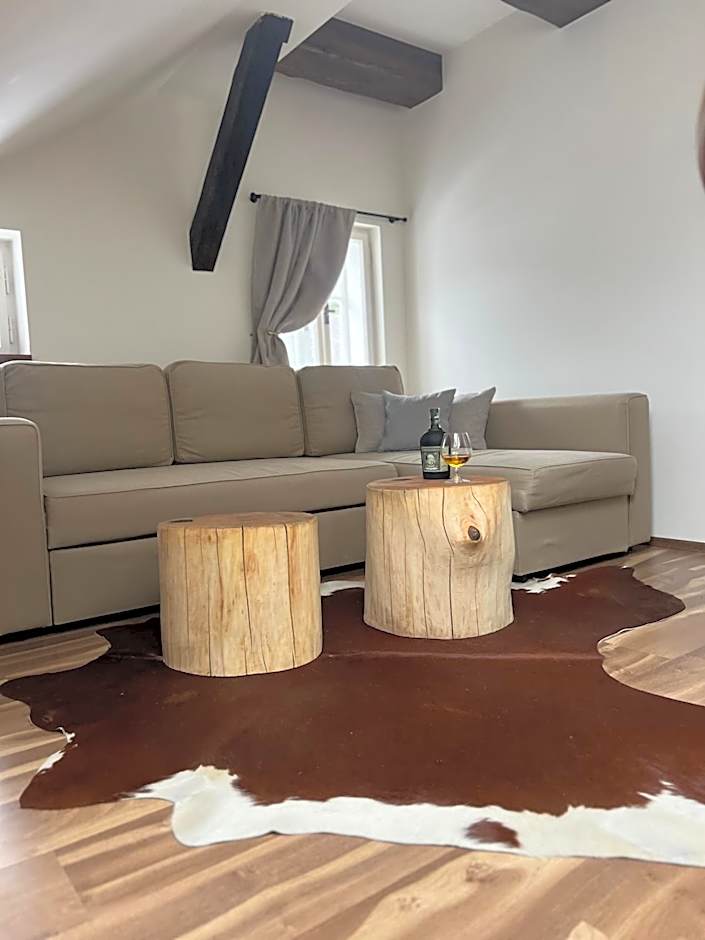 Hotel Lomnice
