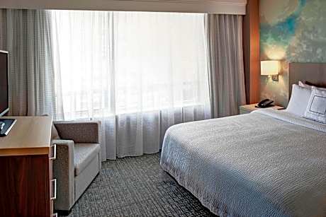 One-Bedroom King Suite
