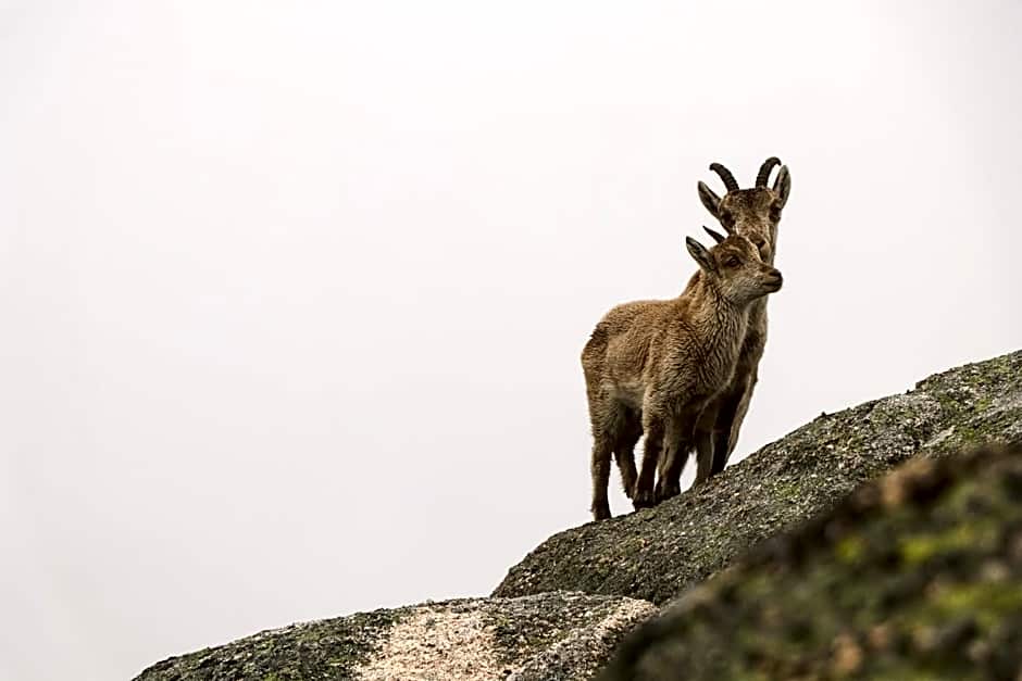 Casa da Fonte - Gerês