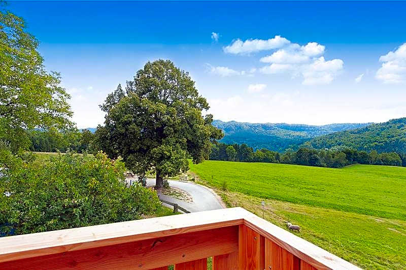 Bergoase Panorama-Apartments