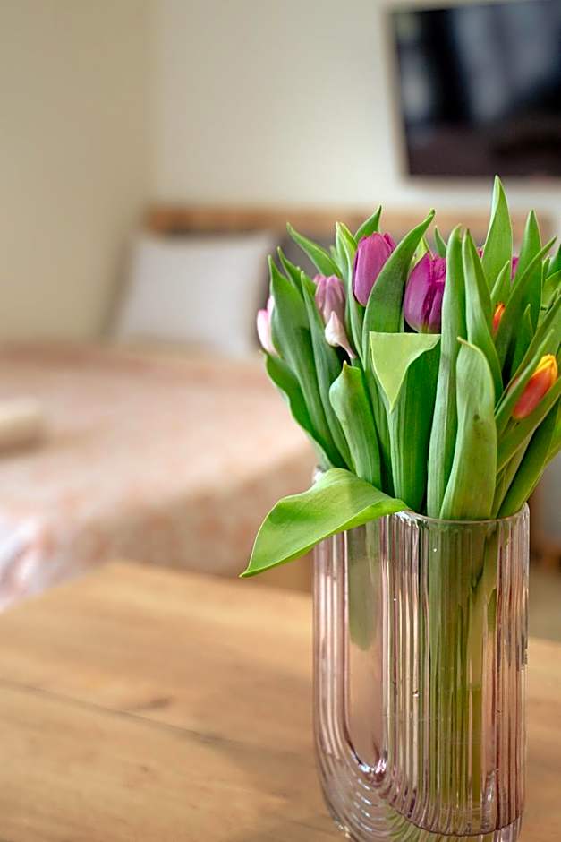 WOW studios for rent - bul Montevideo 25A - B