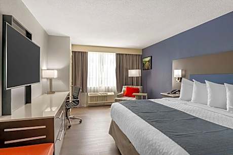 King Room - Non-Smoking