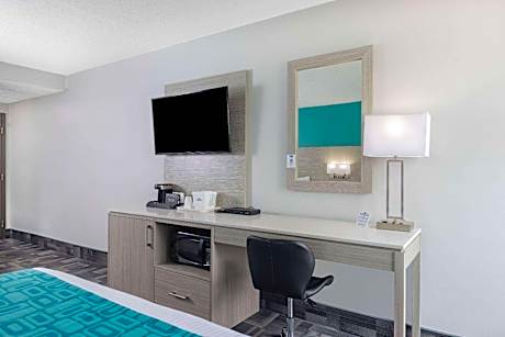 1 King Bed  Non-Smoking