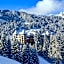 The Alpina Gstaad