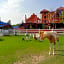 Dome Ing Prao Cowboy Home-stay