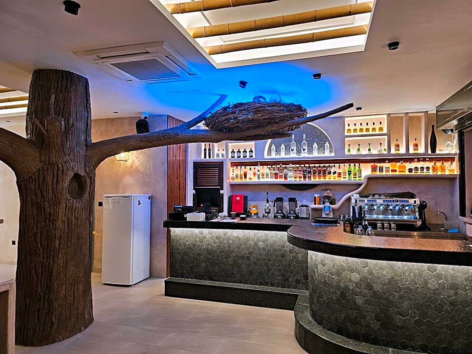 Elixir Del Mar on the Beach