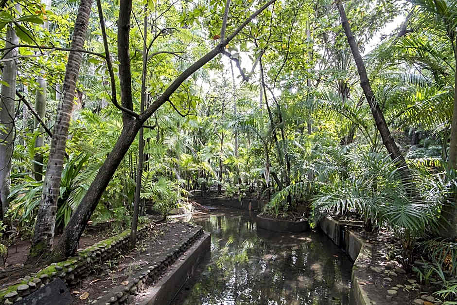 Barceló Montelimar All Inclusive