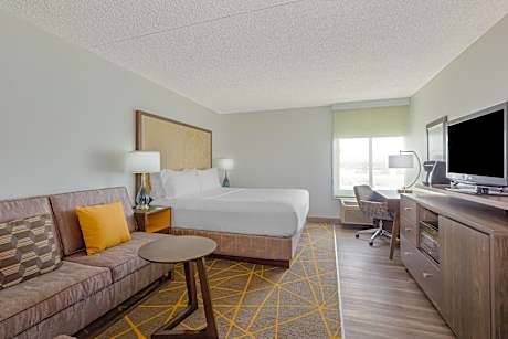 1 King Standard Sofa Bed