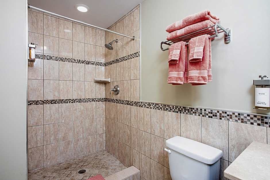 The Local - St. Augustine