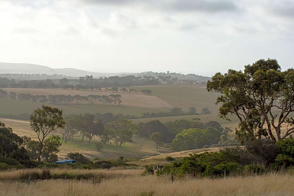 Lush Pastures