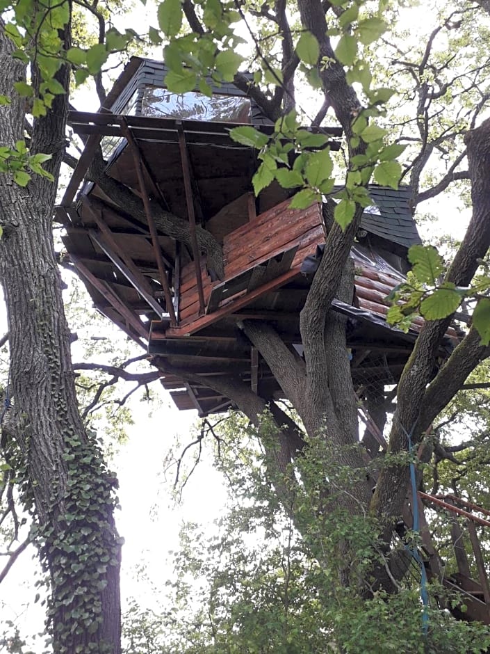 B&B La Cabane Insolite