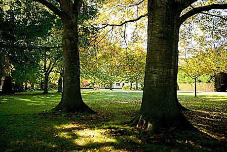 Silverstream Lodge