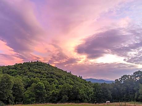 Springmaid Mountain Retreat & Stables