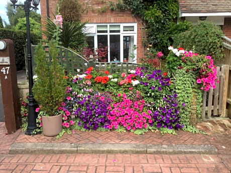 Albertine ,A warm welcome awaits you ,Offering room only or bed and breakfast ,Ideal location for Solent Way ,High Street ,Isle of Wight ,New Forest