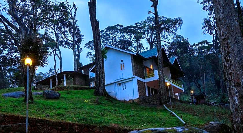 Neelakurunji Plantation Munnar