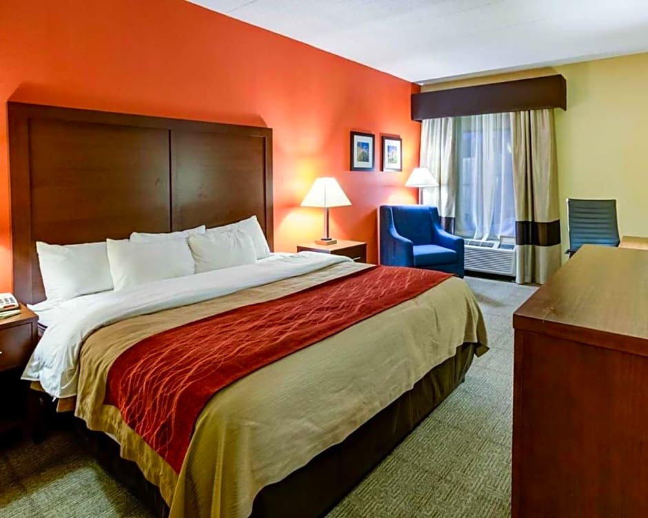 Comfort Inn Lexington Southeast