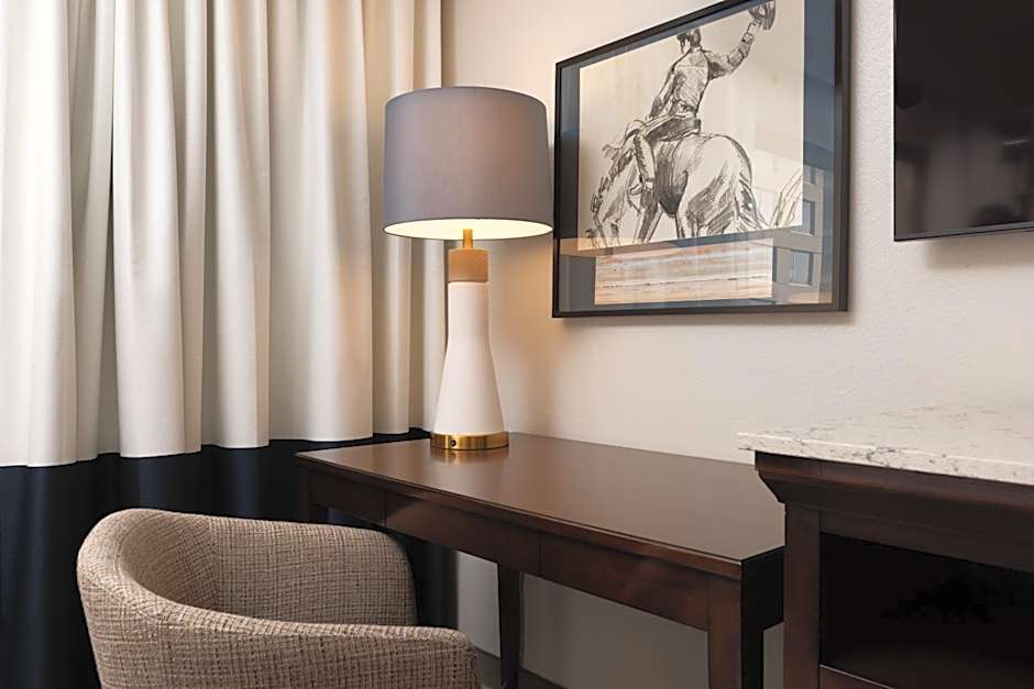 DoubleTree by Hilton Houston Medical Center Hotel & Suites