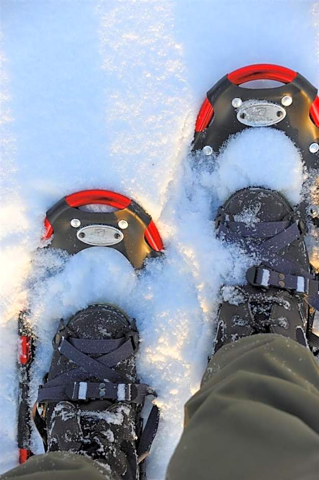 Lapphaugen Turiststasjon