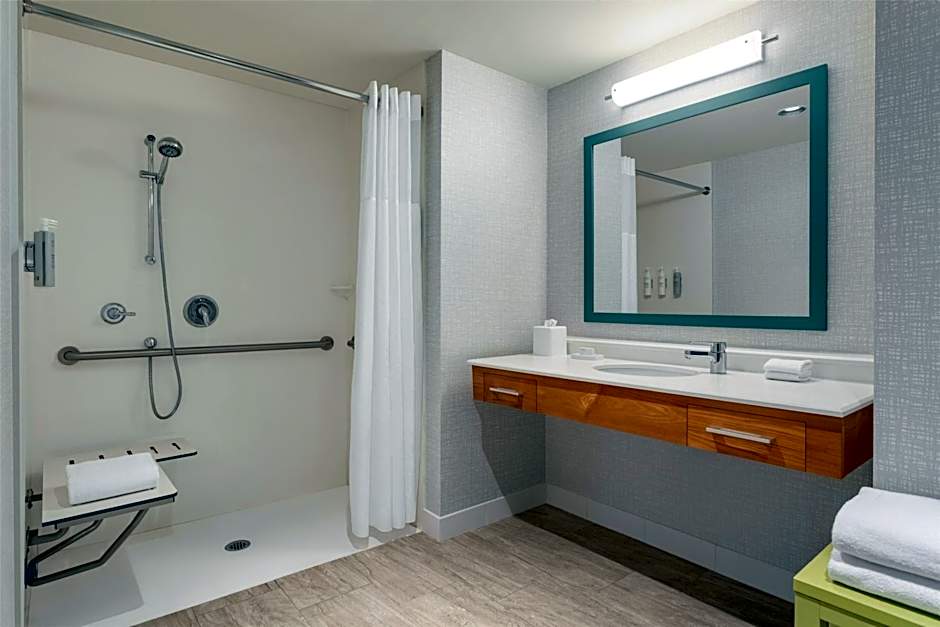 Hampton Inn - Suites by Hilton Tampa Busch Gardens Area