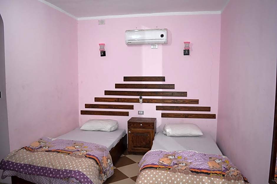 Oasis Fighting Kangaroo