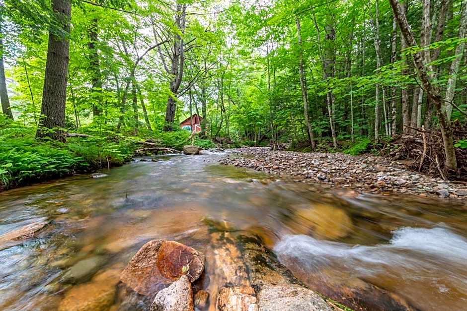 Cranmore Mountain Lodge Bed & Breakfast