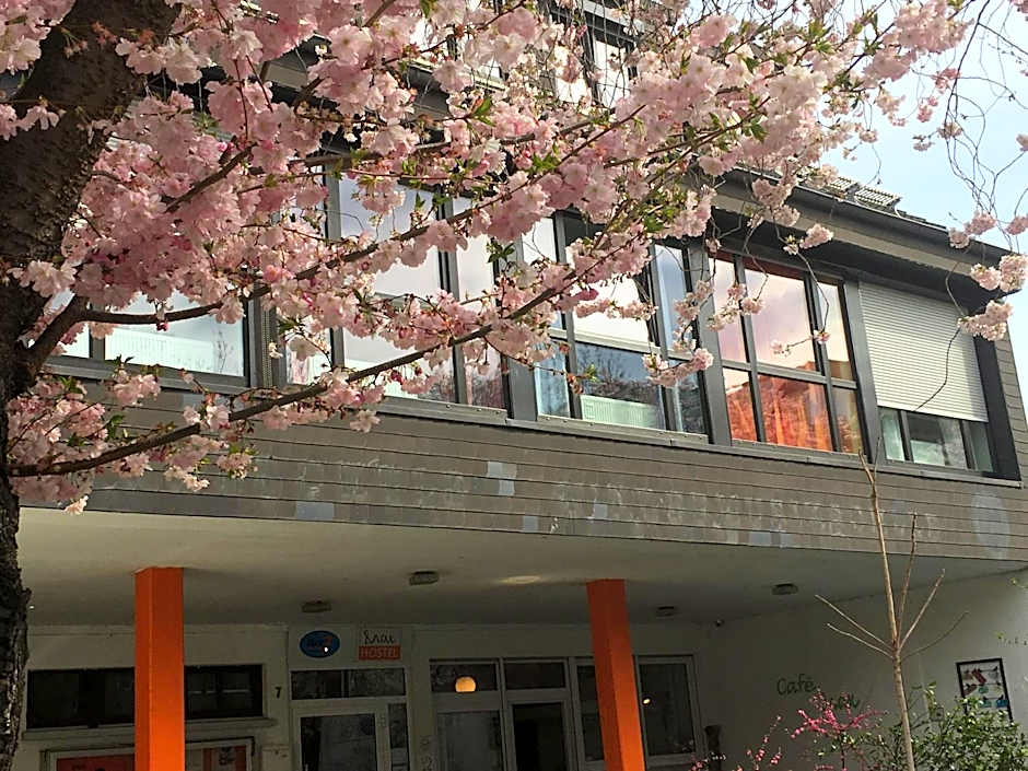 Max Hostel