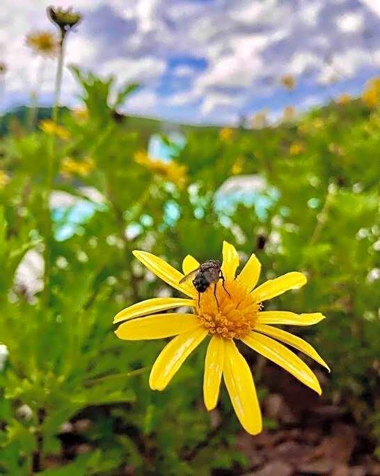 Recanto da Alegria - Casa em Cunha com Jacuzzi,Piscina,Rede,Churrasqueira,Lareira,Deck, Banco de coração
