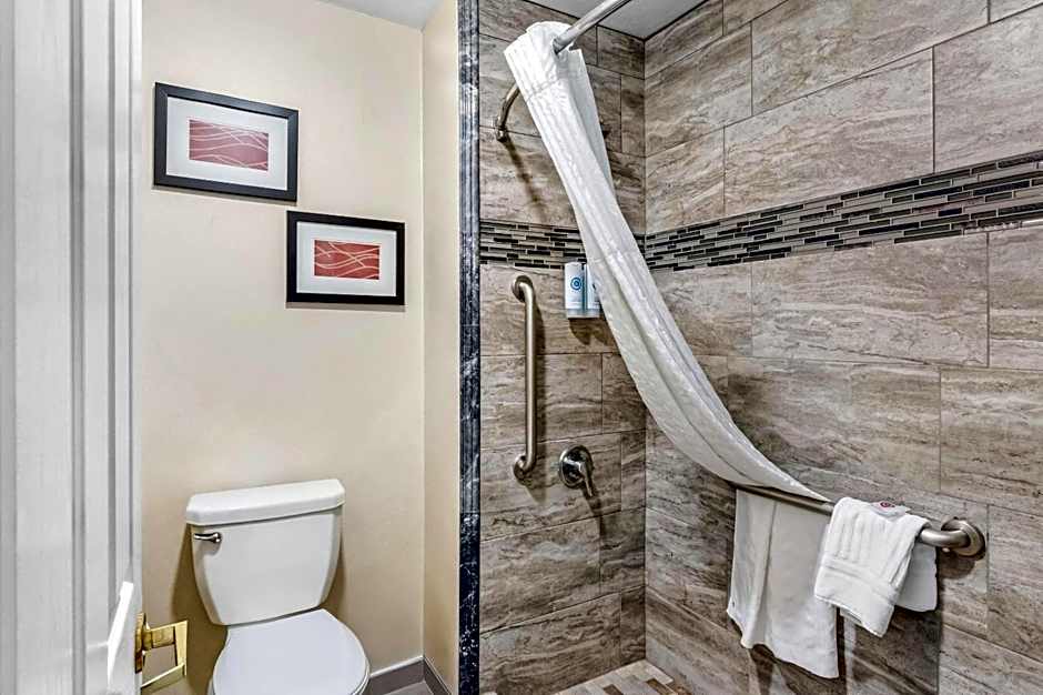 Comfort Inn Elko