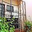 Olga Querida B&B Hostal