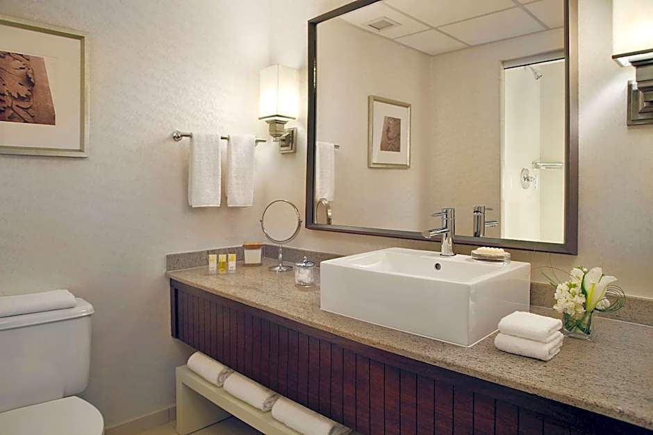 Hyatt Regency St Louis at The Arch