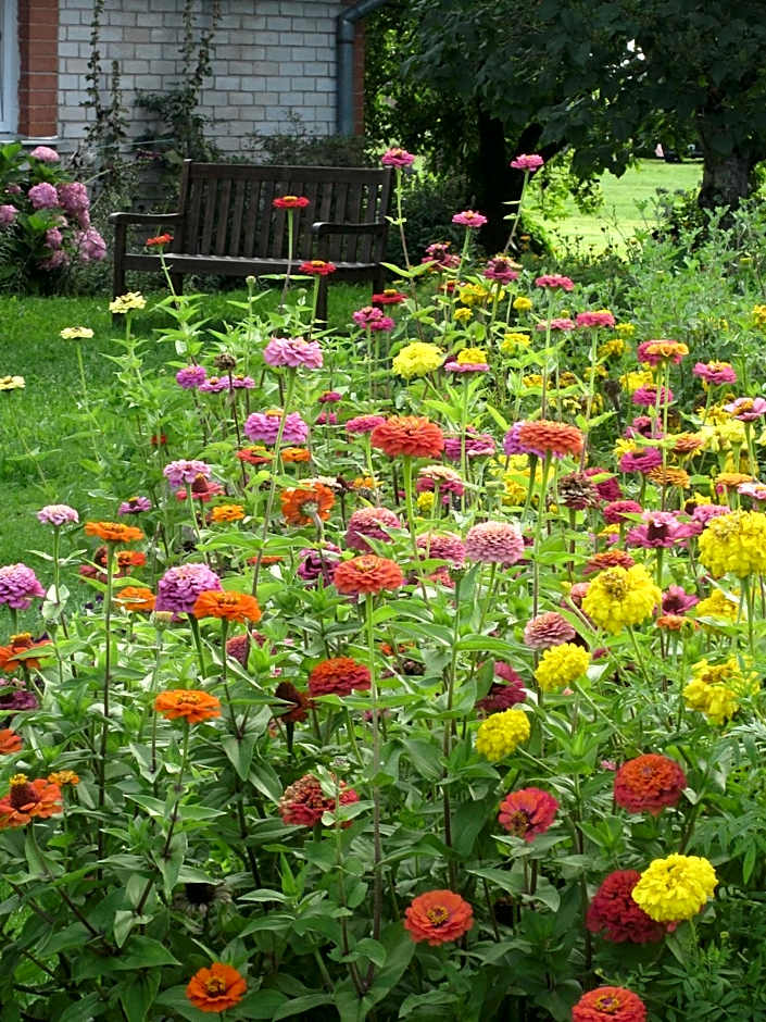 Coastal Home Muini Ūši