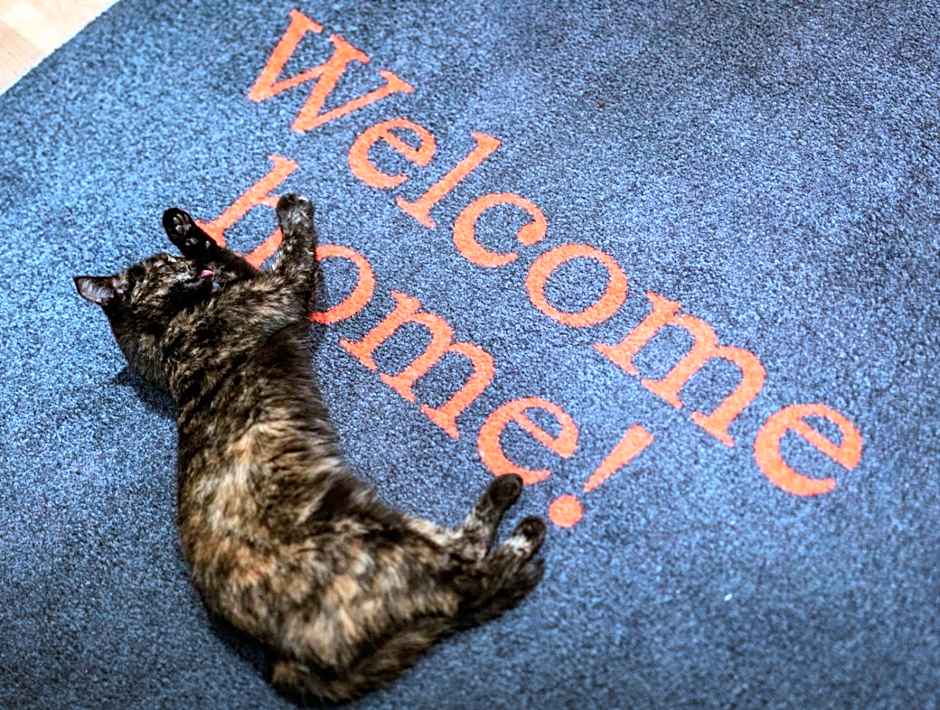 Goldstück - Adults Only