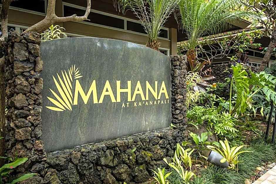 Mahana 316
