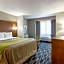 Quality Inn and Suites Ashland near Kings Dominion