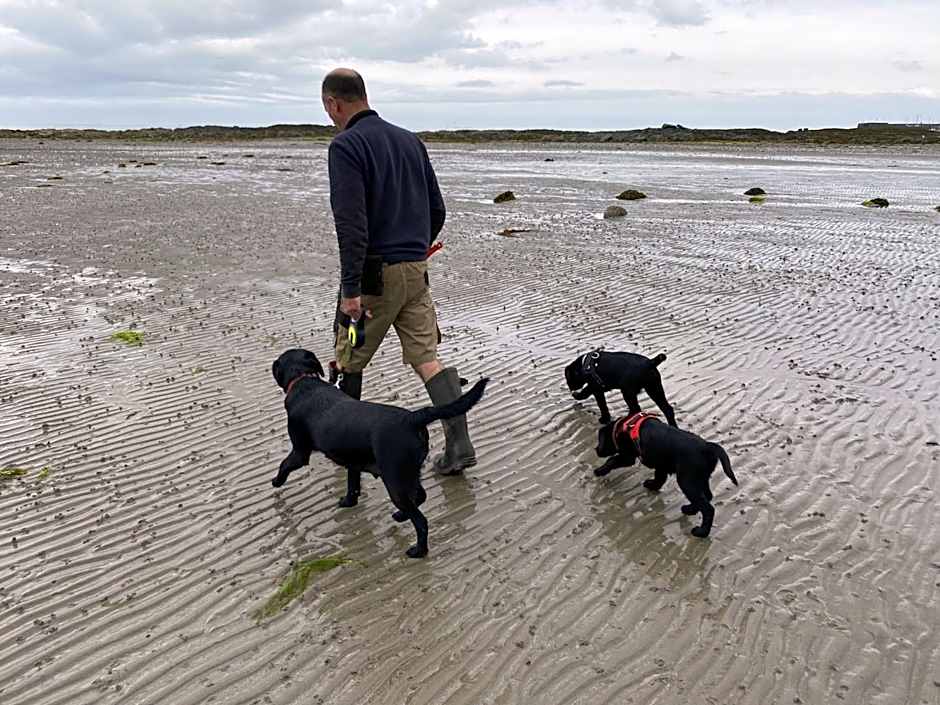 The Old Vicarage NI B&B