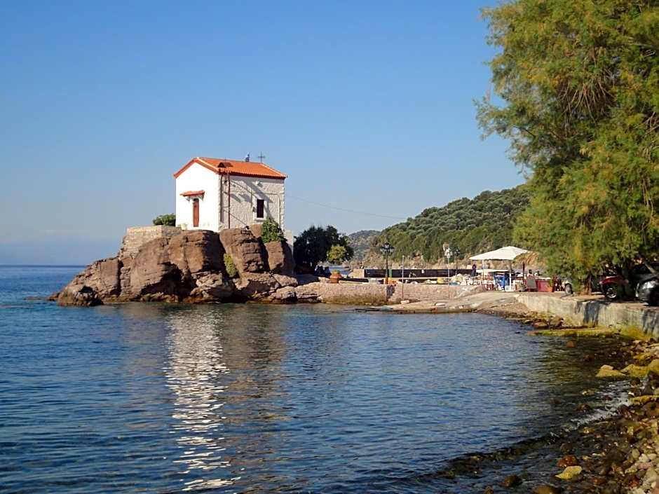 Gorgona Hotel