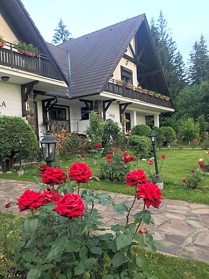 Complex Vile- Milana M Residence