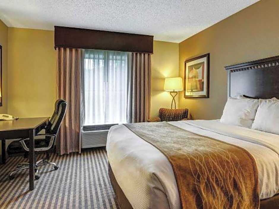 Comfort Inn & Suites Hot Springs Midtown