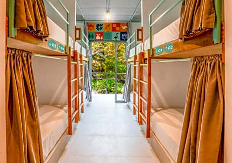 Bed in 16-Bed Mixed Dormitory Room