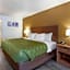 Quality Inn Saint Petersburg North-Tampa Bay