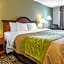 Comfort Inn Weirton - Steubenville
