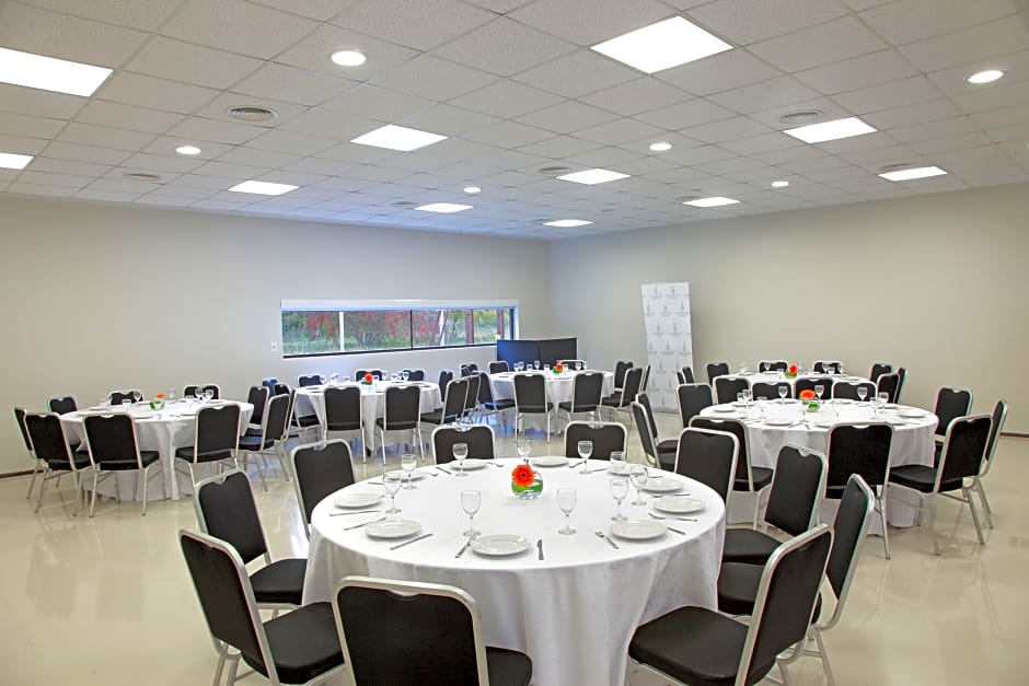 Dazzler by Wyndham Campana