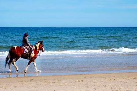 Casale Artemisia Capalbio