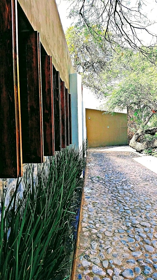 Collection O Hacienda El Salitre