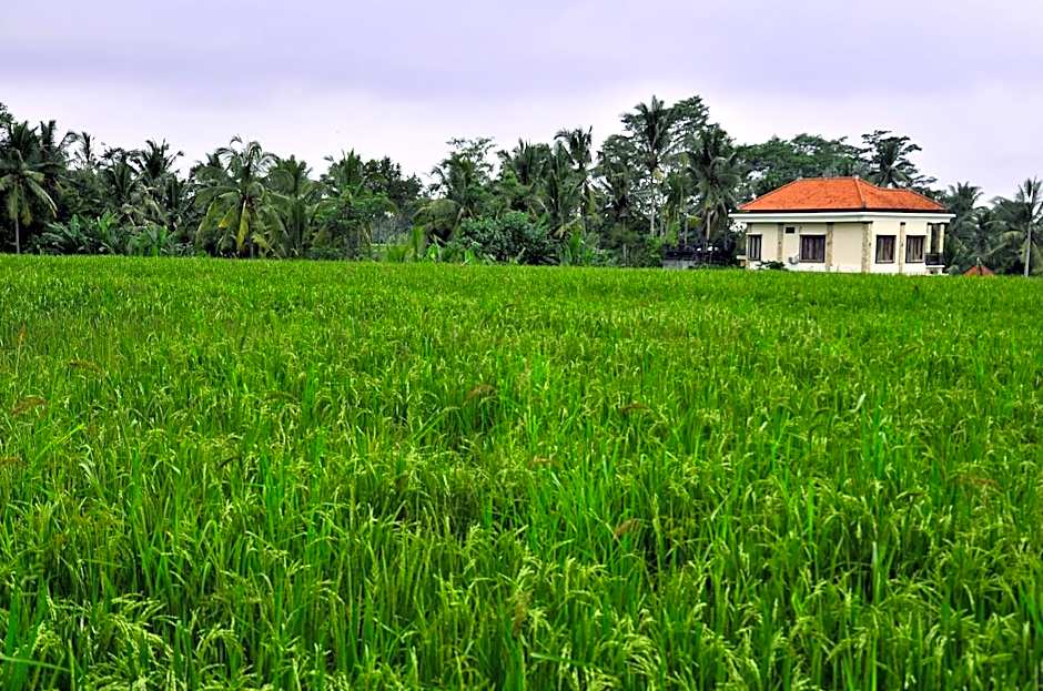 Ubud Sawah Scenery Villa and Homestay
