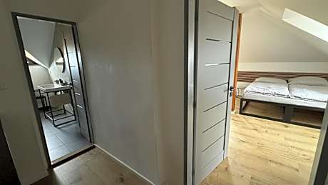Deluxe One-Bedroom Apartment with City View