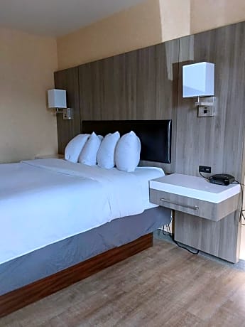 Accessible One Queen Bed