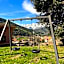 Apartamentos La Montaña